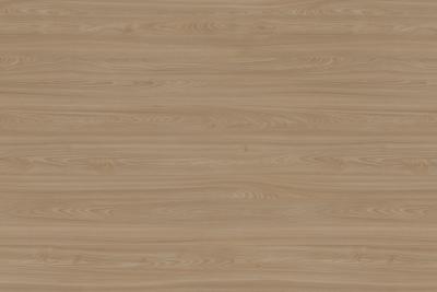 Egger Sicherheitskanten ABS Holzrepro 0,8/23mm Rolle à 75m1 H1213 ST33 Tossini Ulme natur Rolle a 75 M1 (4/Pal.)