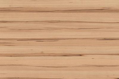 Funder Star Favorit 19mm 0047 NA Wildbuche (PG35) (20/Pal.)