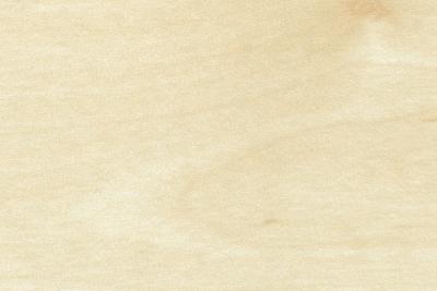 Kronospan Decorplatte D327 BS Birch (25/Pal.)
