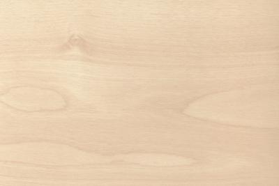 Kronospan Decorplatte D1432 BS Luna Birch (25/Pal.)