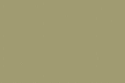 Kronospan Decorplatte U4439 VL Pistachio Green (25/Pal.)