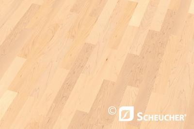 BILAflor 500 2-Schichtparkett L+R Ahorn kanadisch Natur Tenseo classico Paket a 1,68 m2 (49/Pal.)
