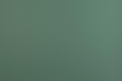 Fenix Verbundplatte Supermatt NTM Bloom MDF light-Platte beidseitig dekorgleich Maranta 0773 NTM - Verde Brac