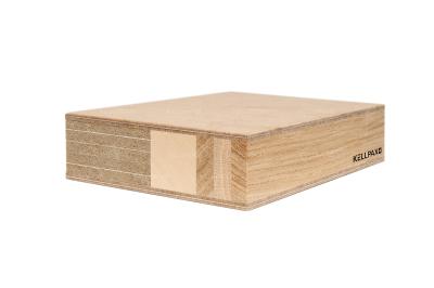 Kellpax Haus- und Laubengangtüre Alupan Allianza Norm Nr. 9 (EI30) (20/Pal.)