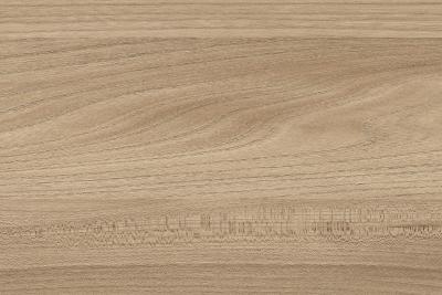 Kaindl Woodline Natural E1 CARB Melaminharzbeschichtet MDF 37965 SU Ulme (10/Pal.)