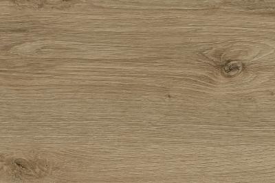 Kaindl Woodline Natural HPL 0,8mm K4421 AW Eiche EVOKE TREND