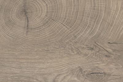 Kaindl Woodline Natural HPL 0,8mm K5412 AW Eiche ENDgrain Raw