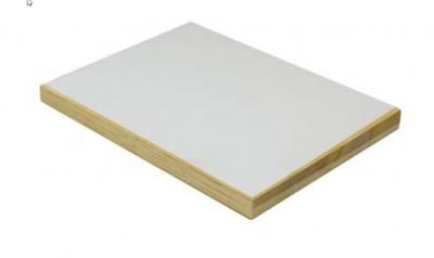 Tischlerplatte Lightwood Gabun mit Grundierfolie 150 g/m2 (10/Pal.)