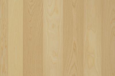 Furnier-Express Fixm. Esche Blume 0,9mm A-Qualität geschliffen mit rücks. Vlies