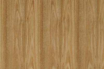 Furnier-Express Fixmasse Eucalyptus als Gegenzug ohne Vlies Stärke 0,9 mm