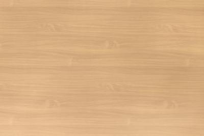 Argolite Kunststoffplatte 84 AM Buche hell