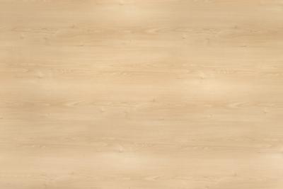 Argolite Kunststoffplatte 89 AM Birke hell