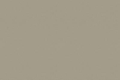 Argolite Kunststoffplatte 215 AM Bonsai