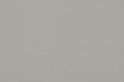 Egger Dekorative Spanpl. Materialrepro F765 ST20 Silbergrau gebürstet (12/Pal.)