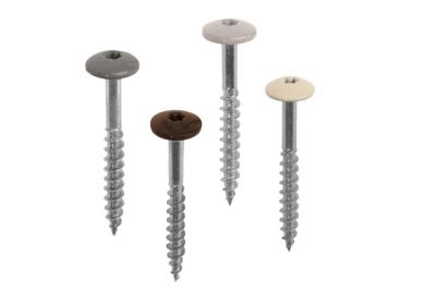 Duropal Fassadenschrauben V4A, Torx T20 mit Kopflackierung (100 Stk/Pak) U16058 Be rooted 5,5x25mm