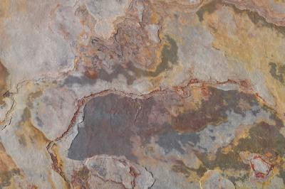 Steinbock Natursteinfurnier Schiefer Bergell