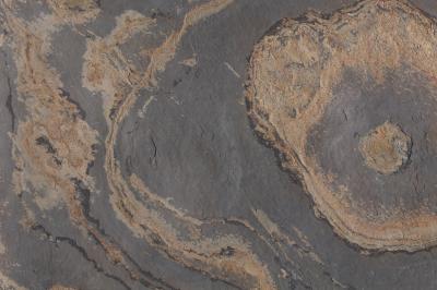 Steinbock Natursteinfurnier Schiefer Lumnezia