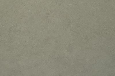 Cleaf beschichtete Platte 18mm CARB E1/P2 FD16 TN/TN (TARANTA) (20/Pal.)