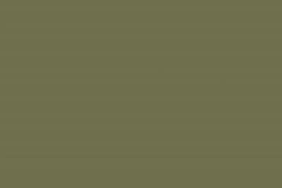 Kronospan Decorplatte U2508 VL Olive (25/Pal.)