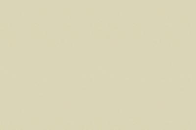 Argolite Kunststoffplatte 220 AM Beige