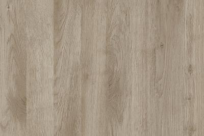 Argolite Kunststoffplatte 139 MD Battle Rock (mit Ästen)